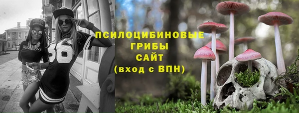 спиды Алексеевка