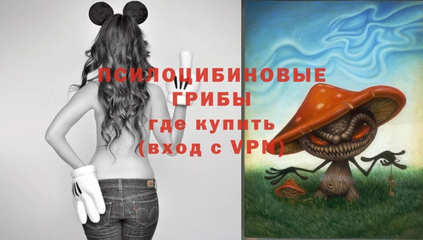 спиды Алексеевка