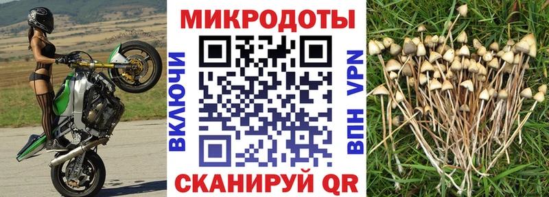 Галлюциногенные грибы мухоморы  закладка  Пролетарск 